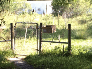 Photo of box to house baby rescued Cardinal fastened to fence.