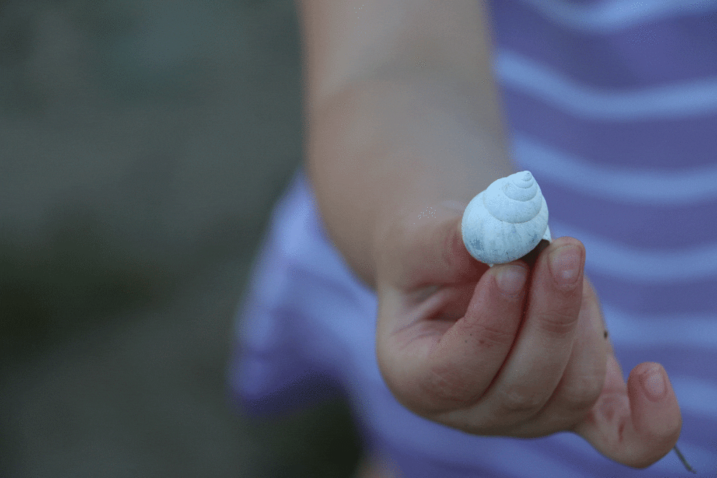 Photo of grand niece Sylvie with shell collected at Coleto Creek. Photo by Anne Rokyta.