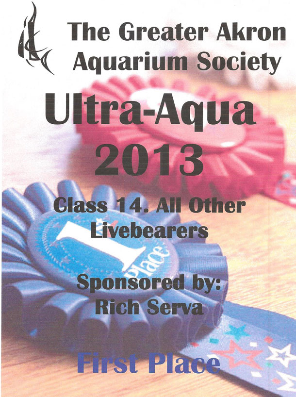 The Greater Akron Aquarium Society First Place Award