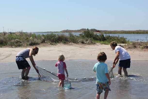 Fish Collecting - Seining at Sand Flat