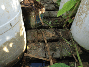 Photo of debris on walkway in greenhouse.