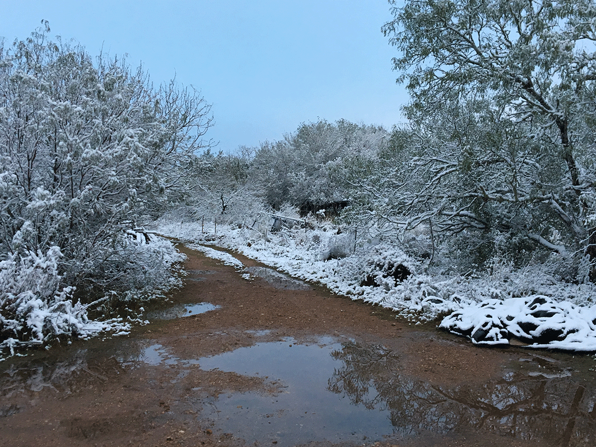 Photo of December 8 2017 snowfall 2