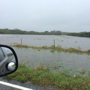 Photo of a normally dry pasture flooded by Hurricane Harvey's 14 inches of rain.