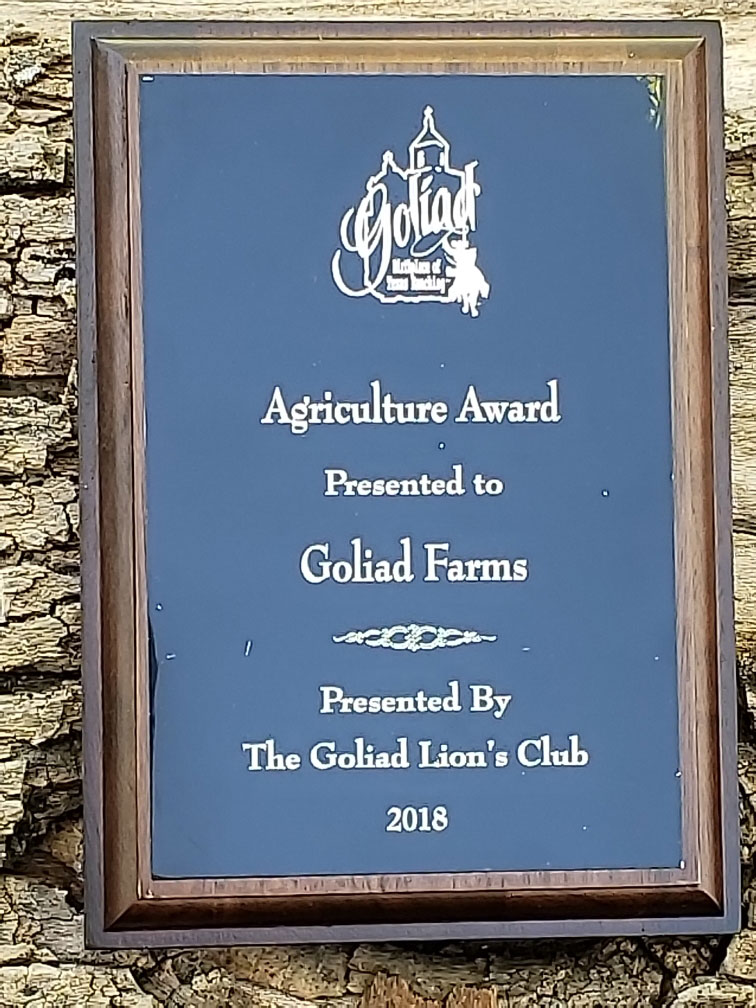 Photo of agriculture award from the Goliad Lion's Club at the 2019 Goliad County Chamber of Commerce annual banquet.