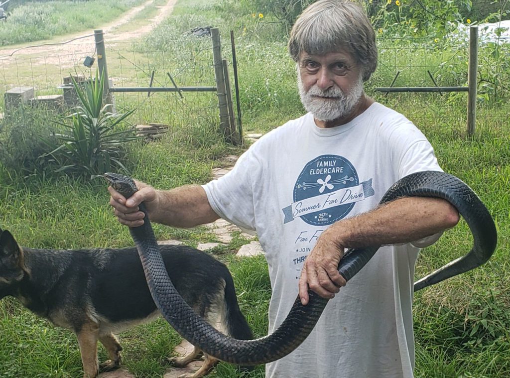 Phot of the author holding a Texas Indigo to show its size. The snake was released once the dogs were secured.